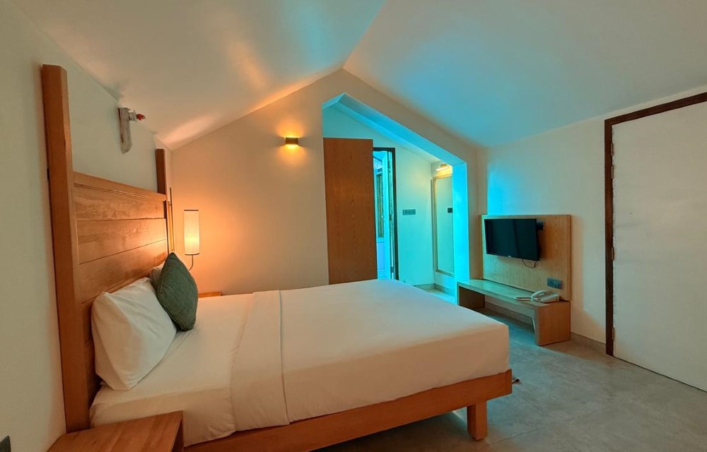 Exotic Room Exotic Room